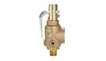 Safety-Relief-Valves